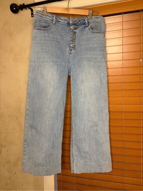 TNR High-Rise Light Blue Wide Leg Jeans for Women